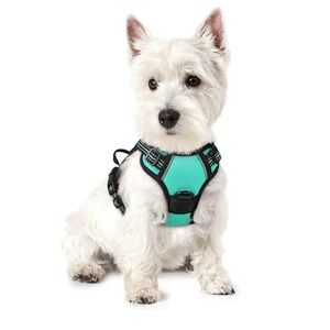 Rabbitgoo Dog Harness XS